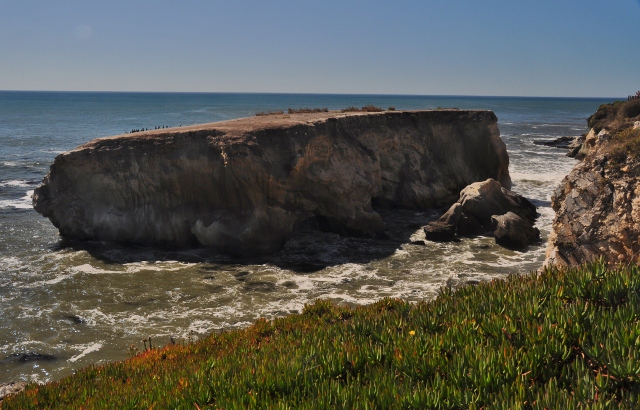 Shell Beach